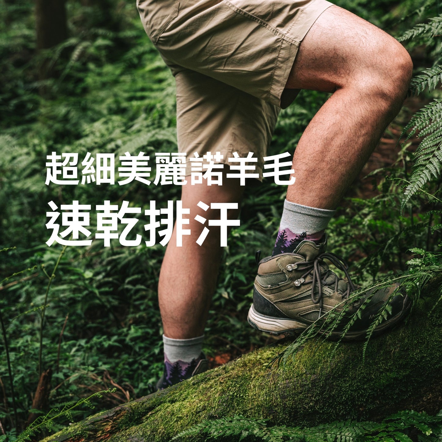 21微米羊毛登山襪-紫